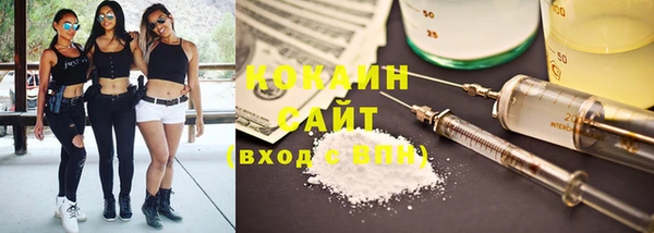 хмурый Верея
