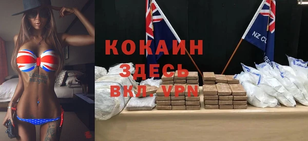 бошки Бородино