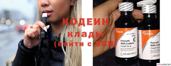 хмурый Верея
