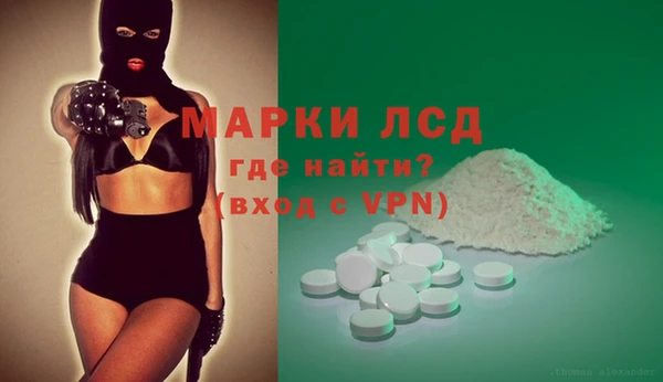хмурый Верея