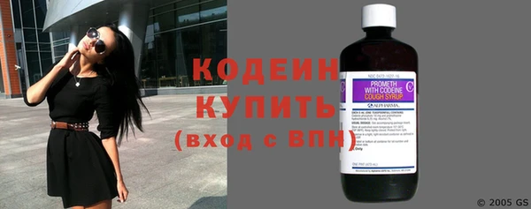 бошки Бородино
