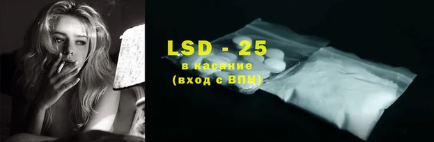 хмурый Верея