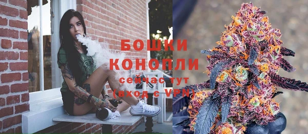 хмурый Верея