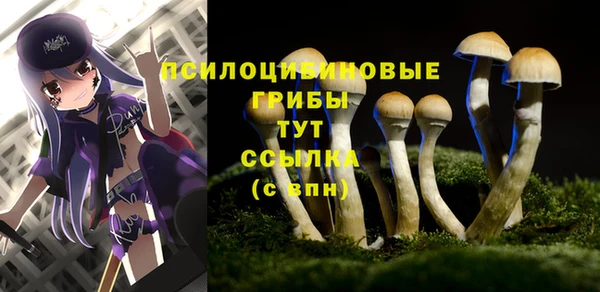 MDMA Верхний Тагил
