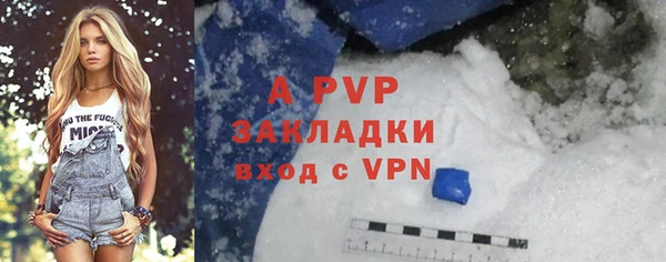 индика Володарск