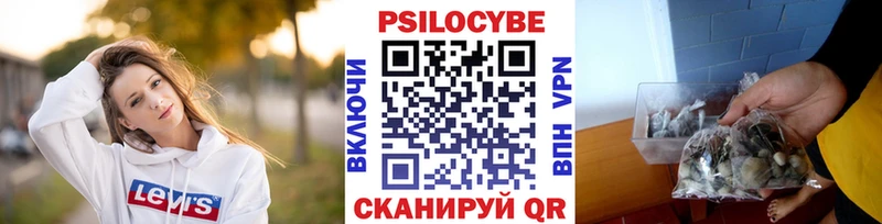 Купить  Краснозаводск  Галлюциногенные грибы GOLDEN TEACHER 